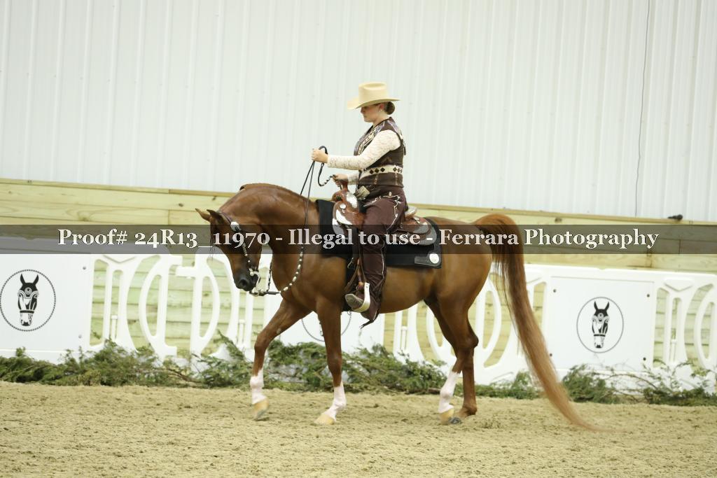 Proof 24R13_11970