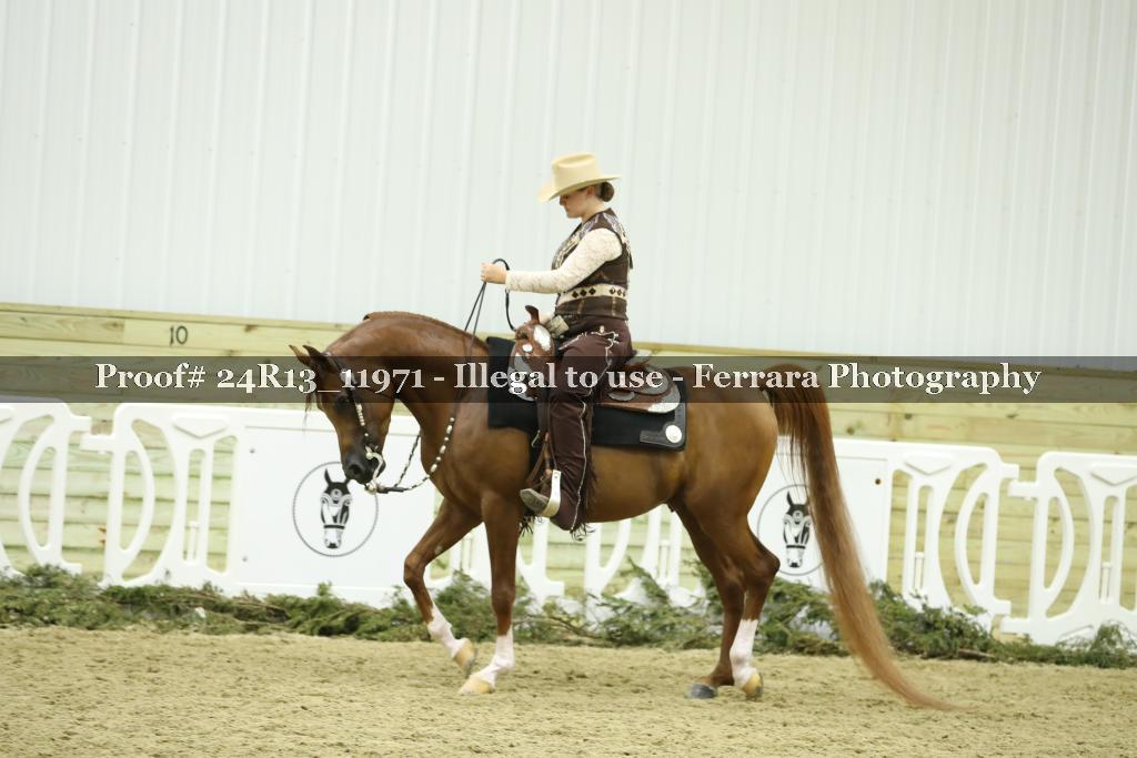 Proof 24R13_11971