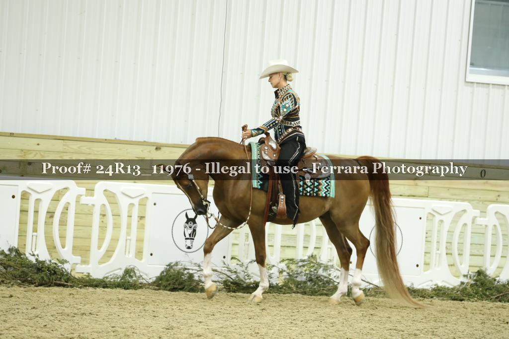 Proof 24R13_11976