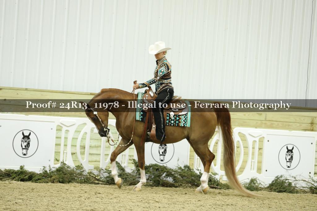 Proof 24R13_11978