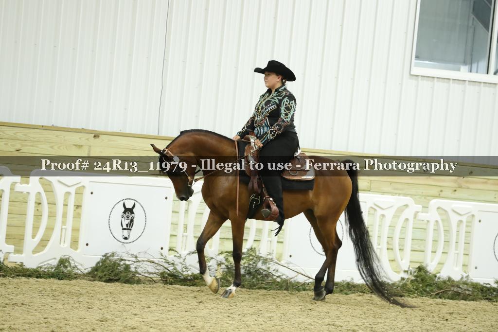 Proof 24R13_11979