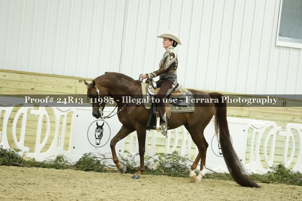 Proof 24R13_11985