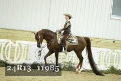 24R13_11985 proof
