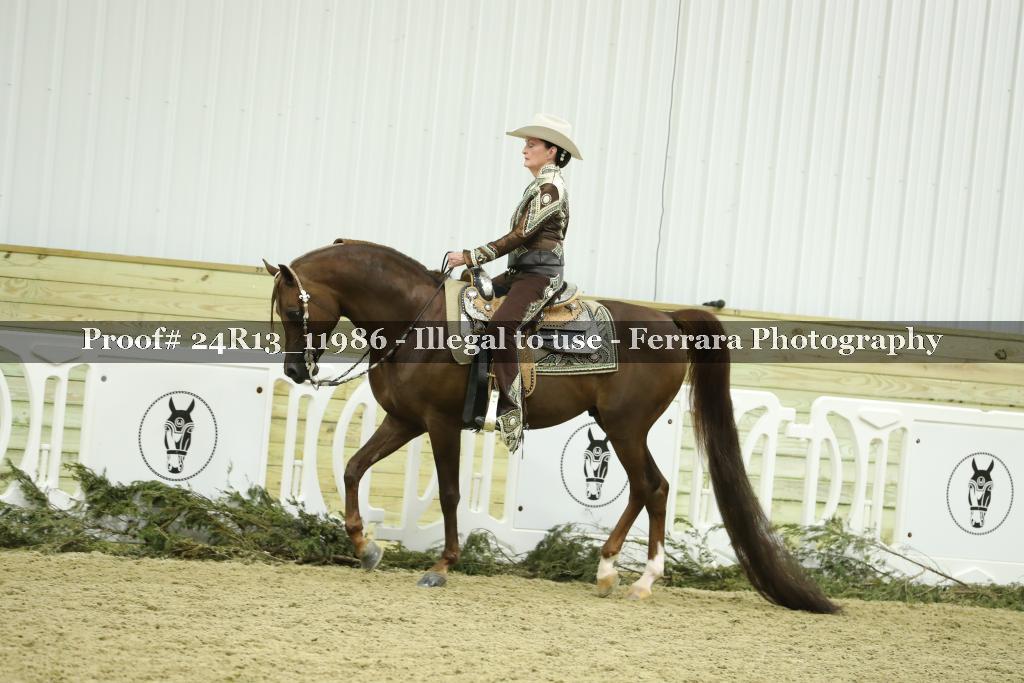 Proof 24R13_11986