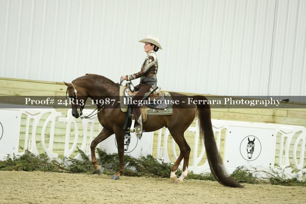 Proof 24R13_11987