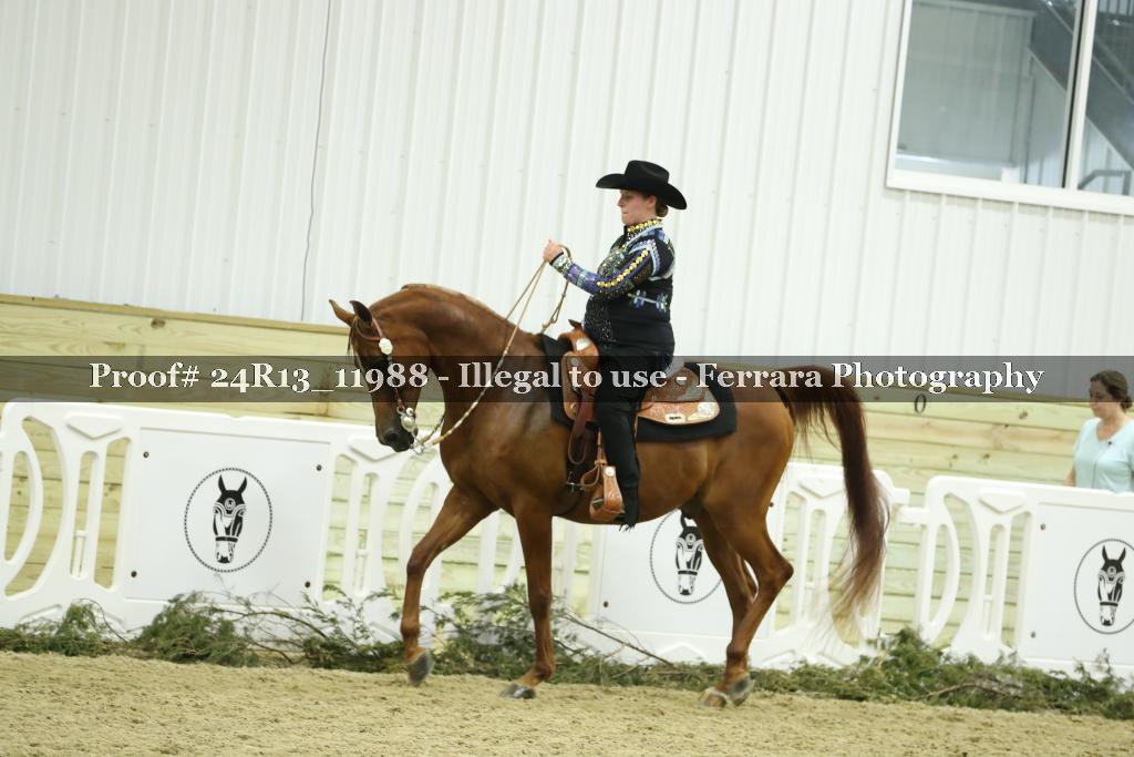 Proof 24R13_11988
