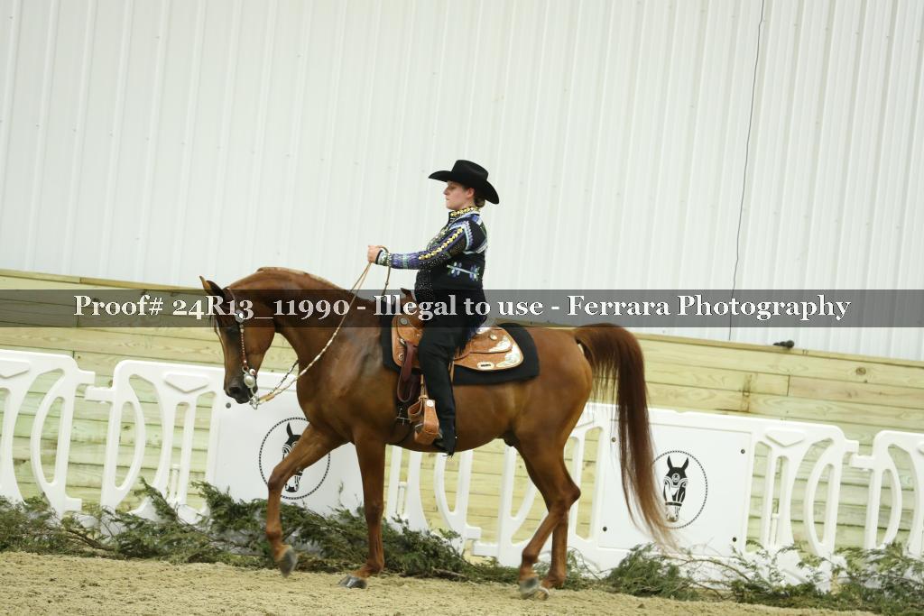 Proof 24R13_11990