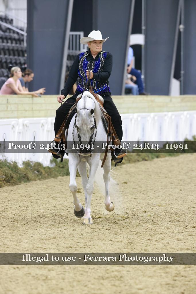 Proof 24R13_11991