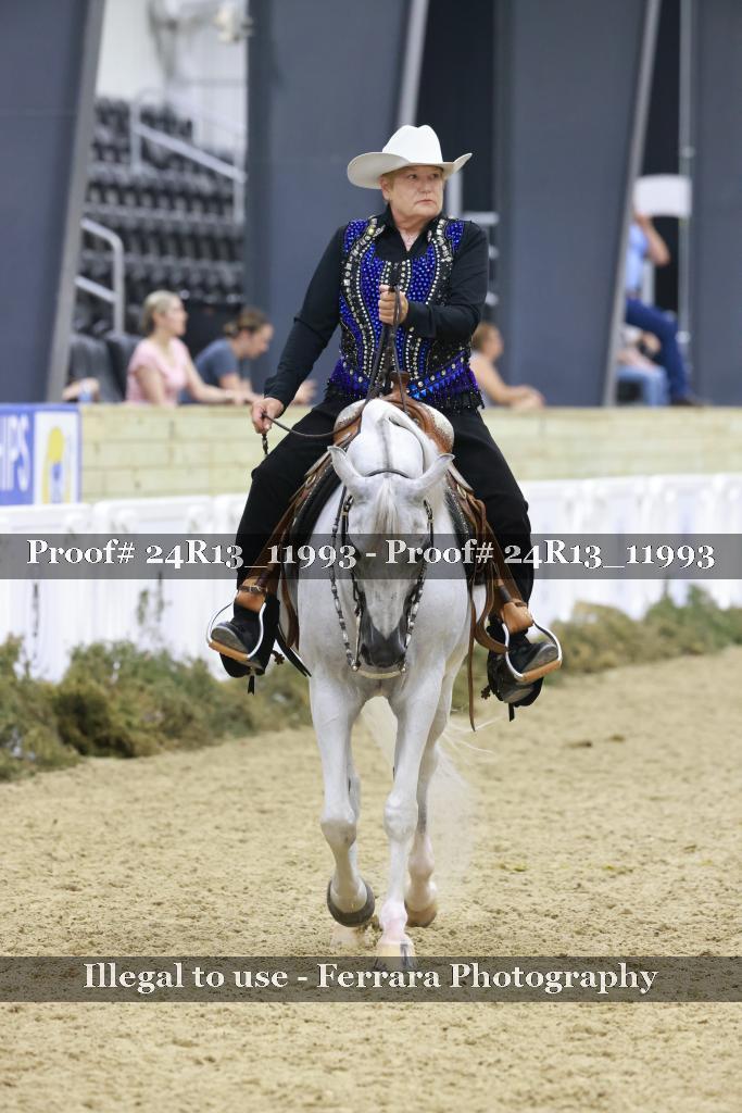 Proof 24R13_11993