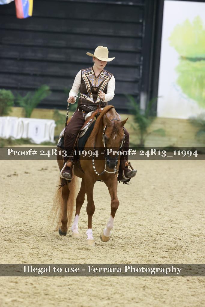 Proof 24R13_11994