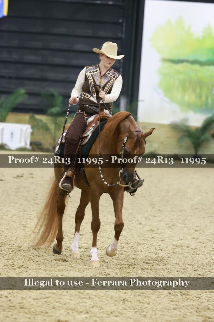 Proof 24R13_11995