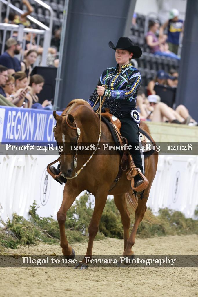 Proof 24R13_12028