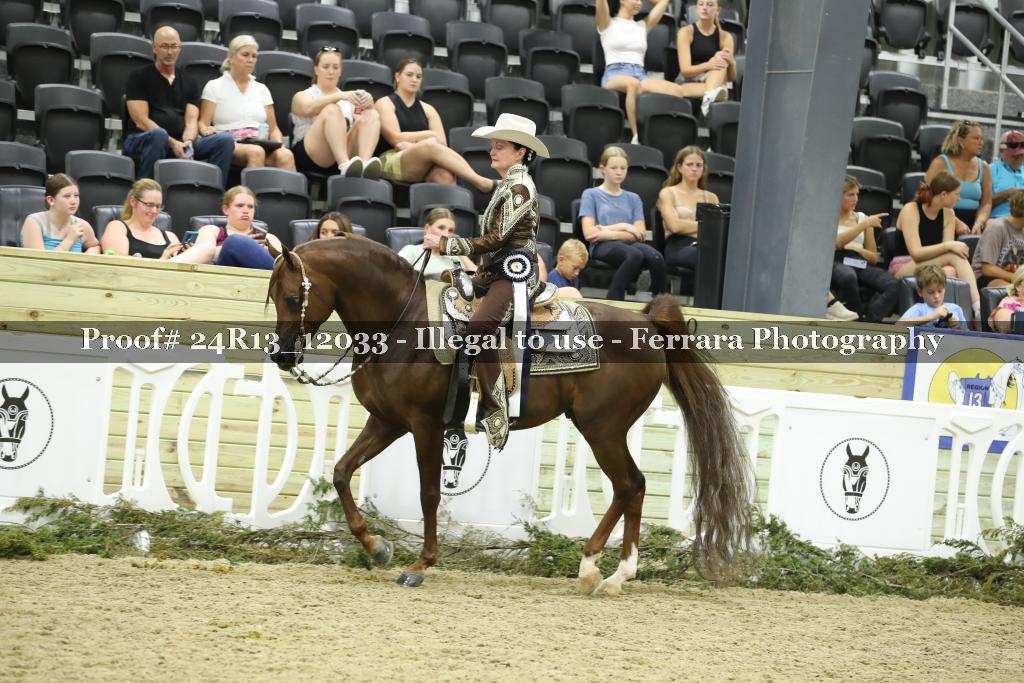 Proof 24R13_12033