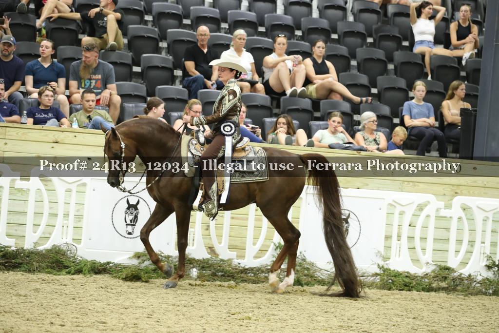 Proof 24R13_12034