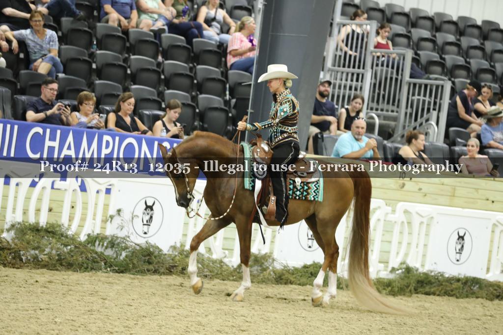 Proof 24R13_12035