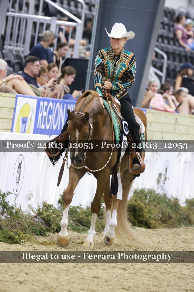 Proof 24R13_12053