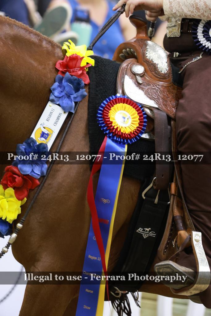 Proof 24R13_12077