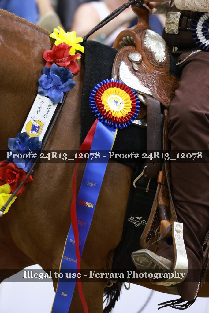 Proof 24R13_12078
