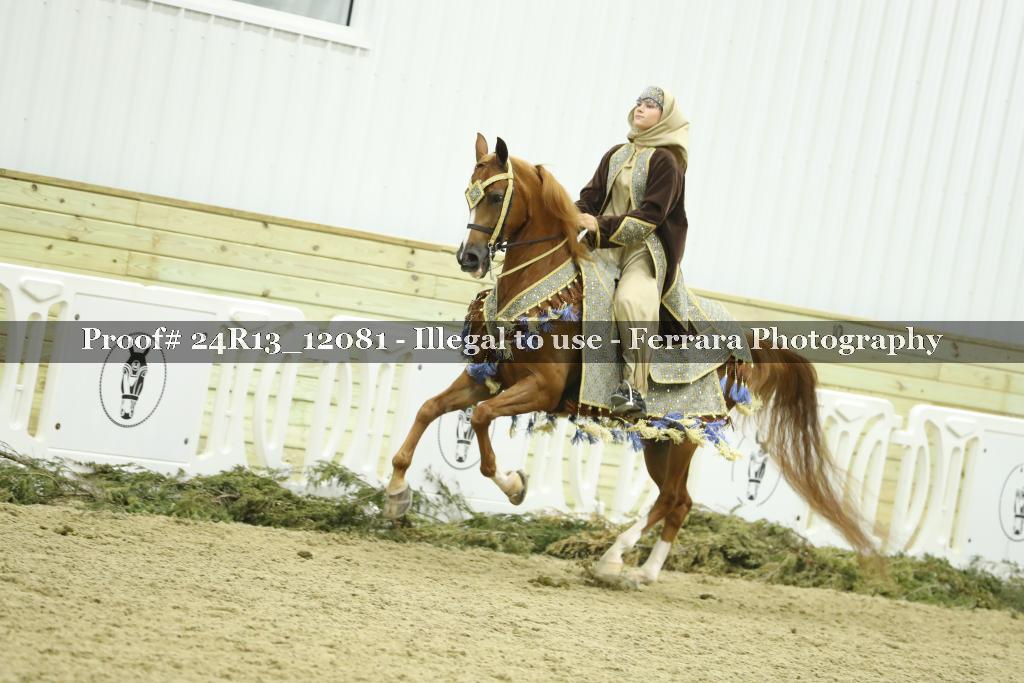 Proof 24R13_12081