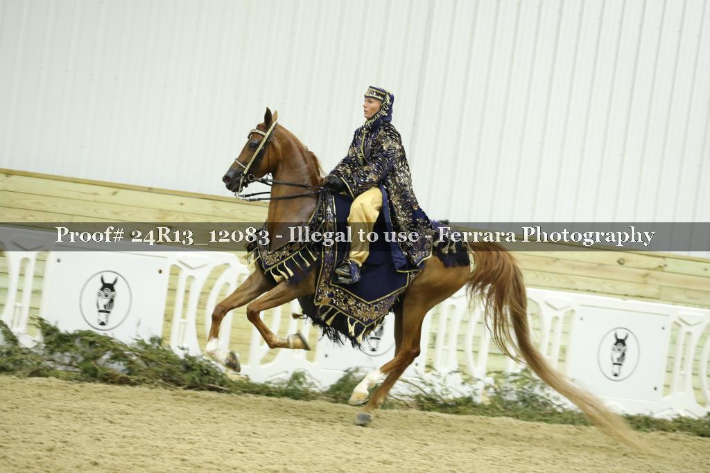 Proof 24R13_12083