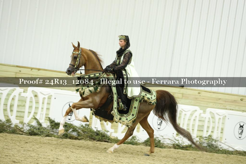 Proof 24R13_12084