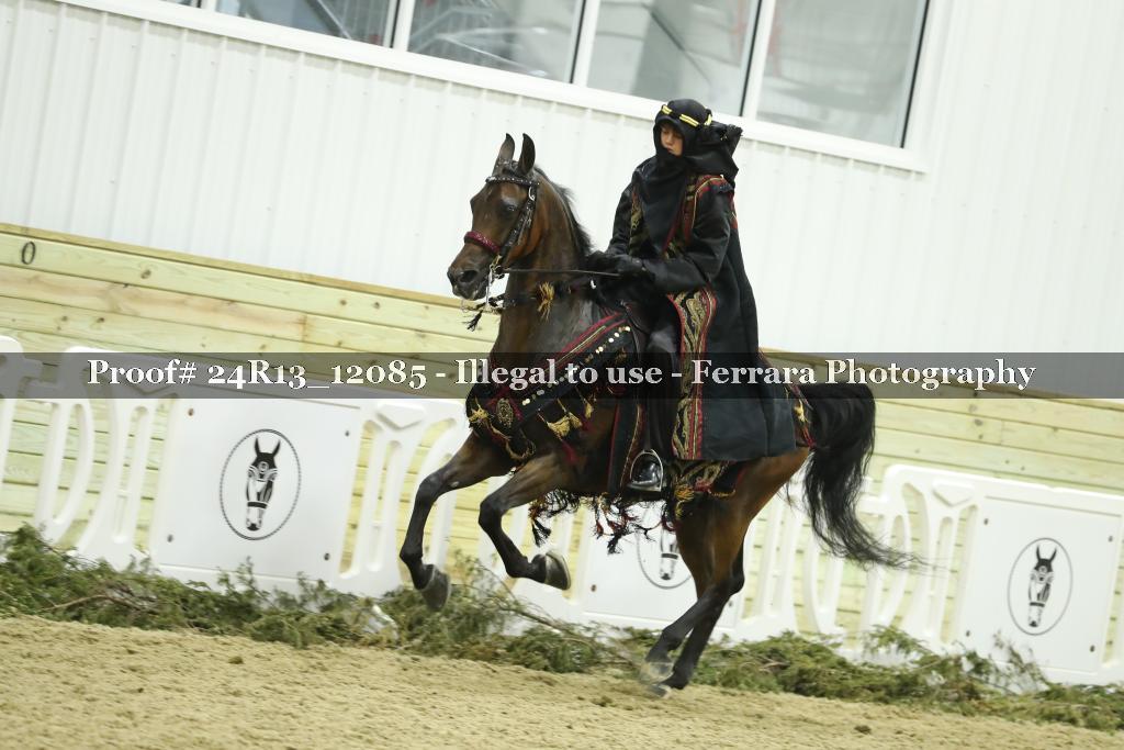 Proof 24R13_12085