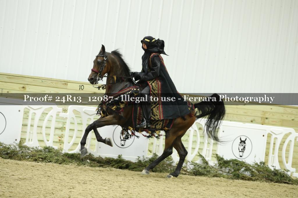 Proof 24R13_12087