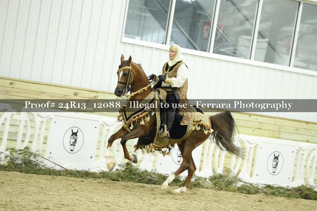 Proof 24R13_12088