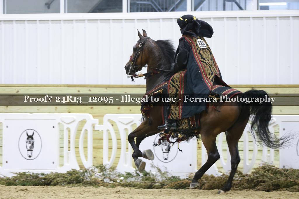 Proof 24R13_12095