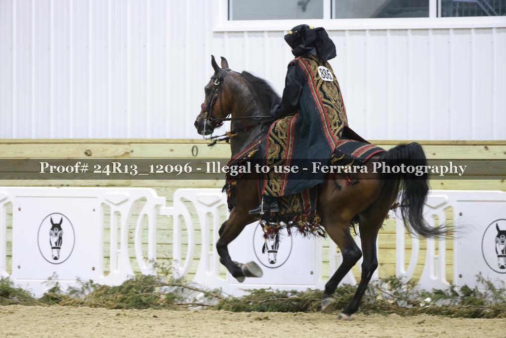 Proof 24R13_12096