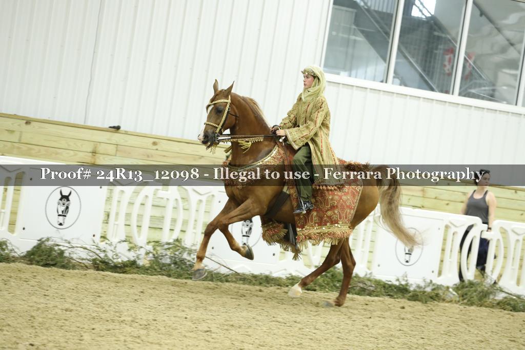 Proof 24R13_12098