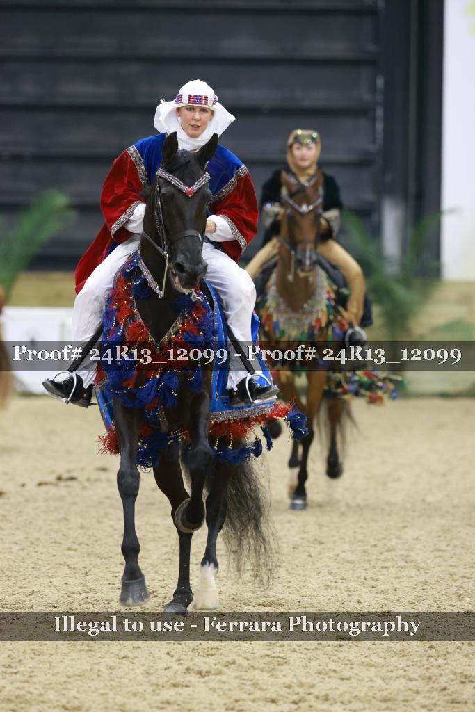 Proof 24R13_12099