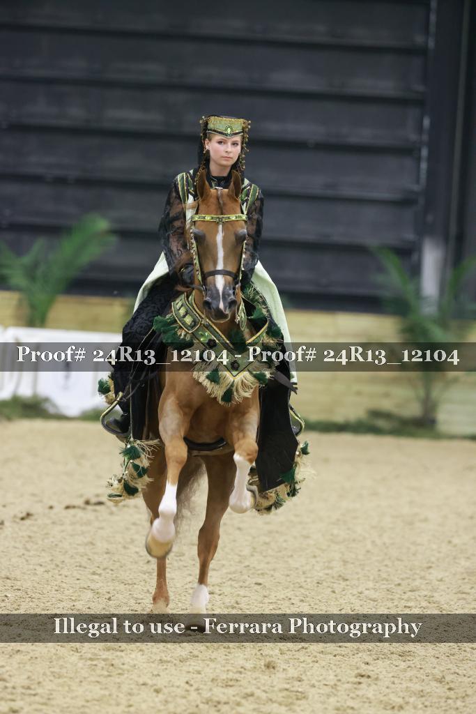 Proof 24R13_12104