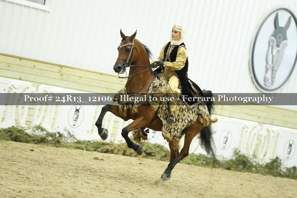 Proof 24R13_12106