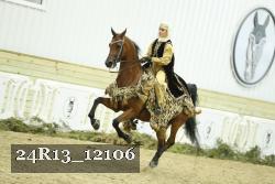 24R13_12106 proof