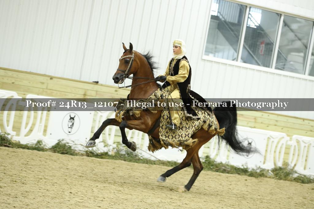 Proof 24R13_12107