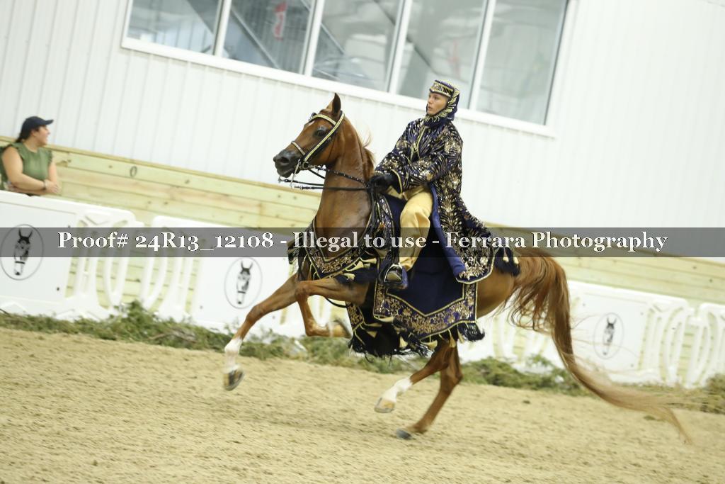 Proof 24R13_12108