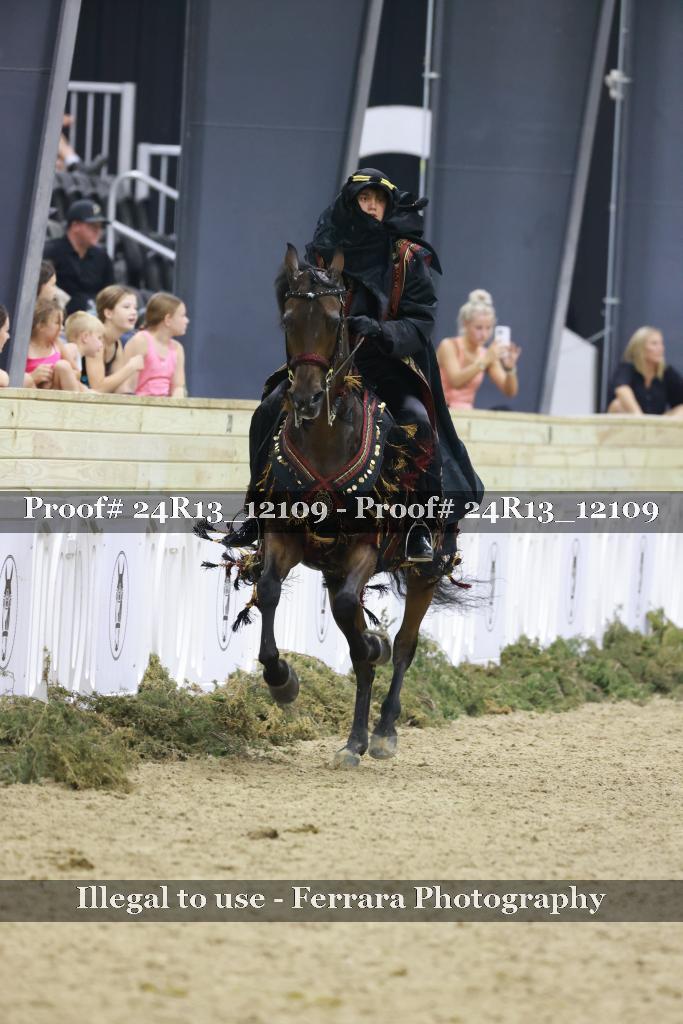 Proof 24R13_12109