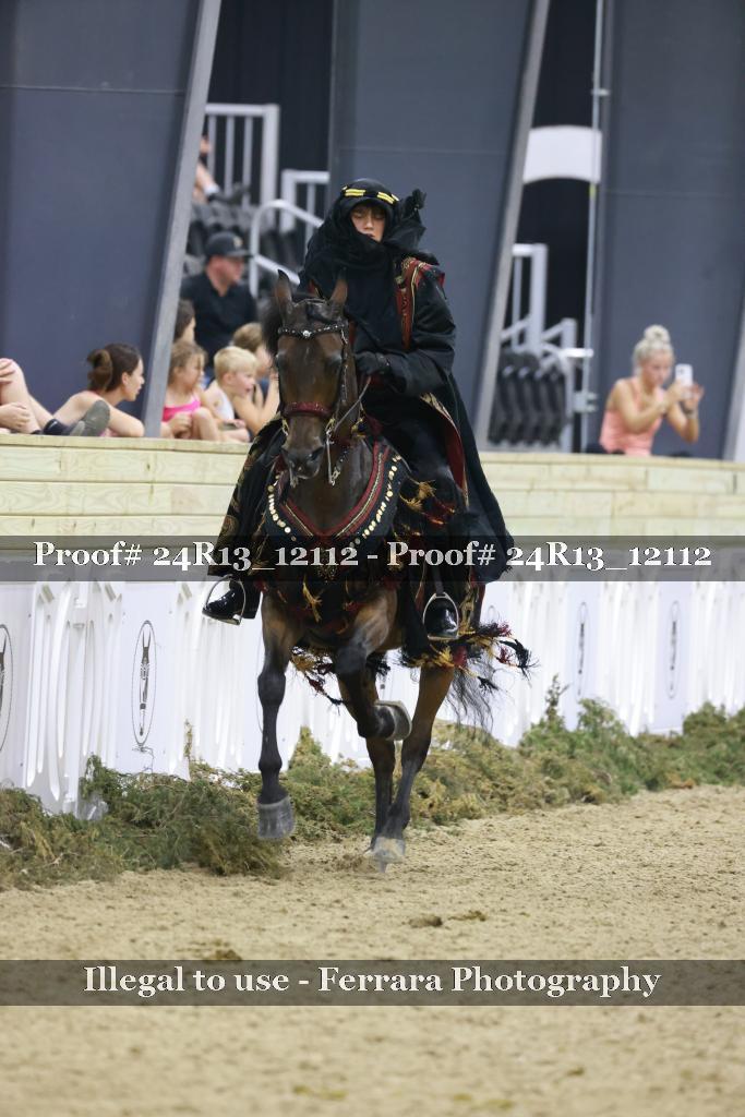 Proof 24R13_12112