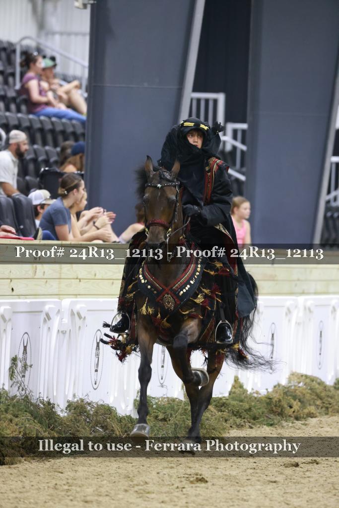Proof 24R13_12113