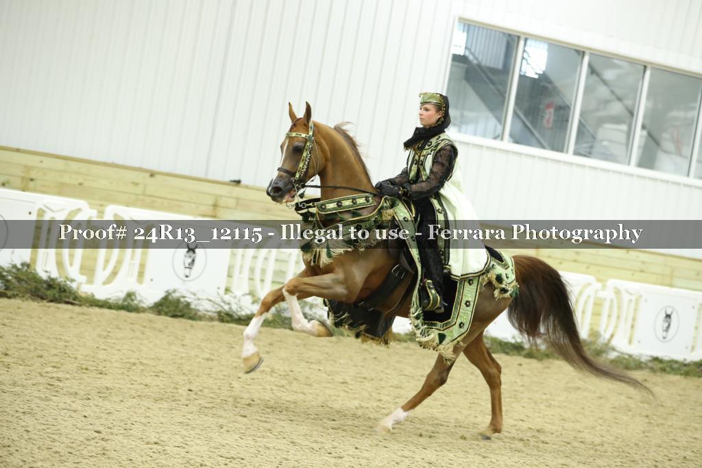 Proof 24R13_12115