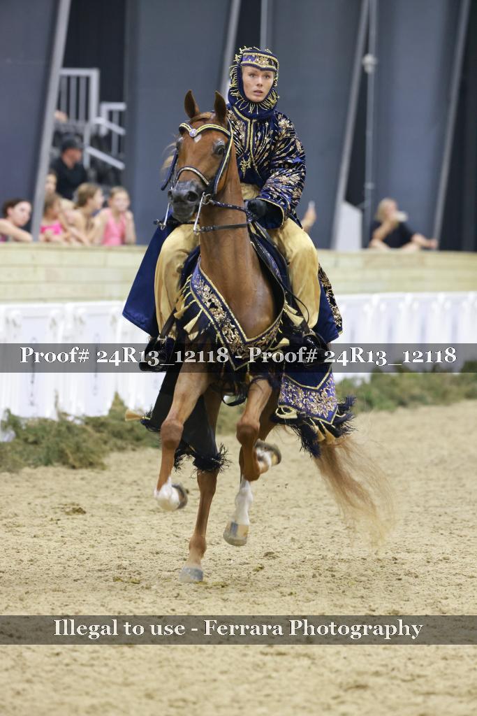 Proof 24R13_12118
