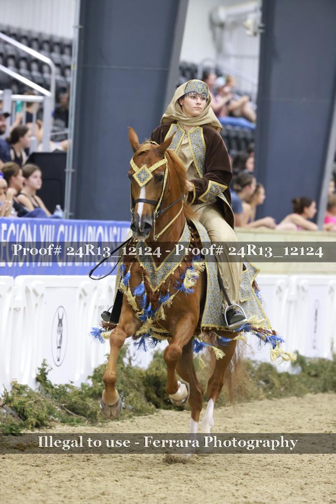 Proof 24R13_12124