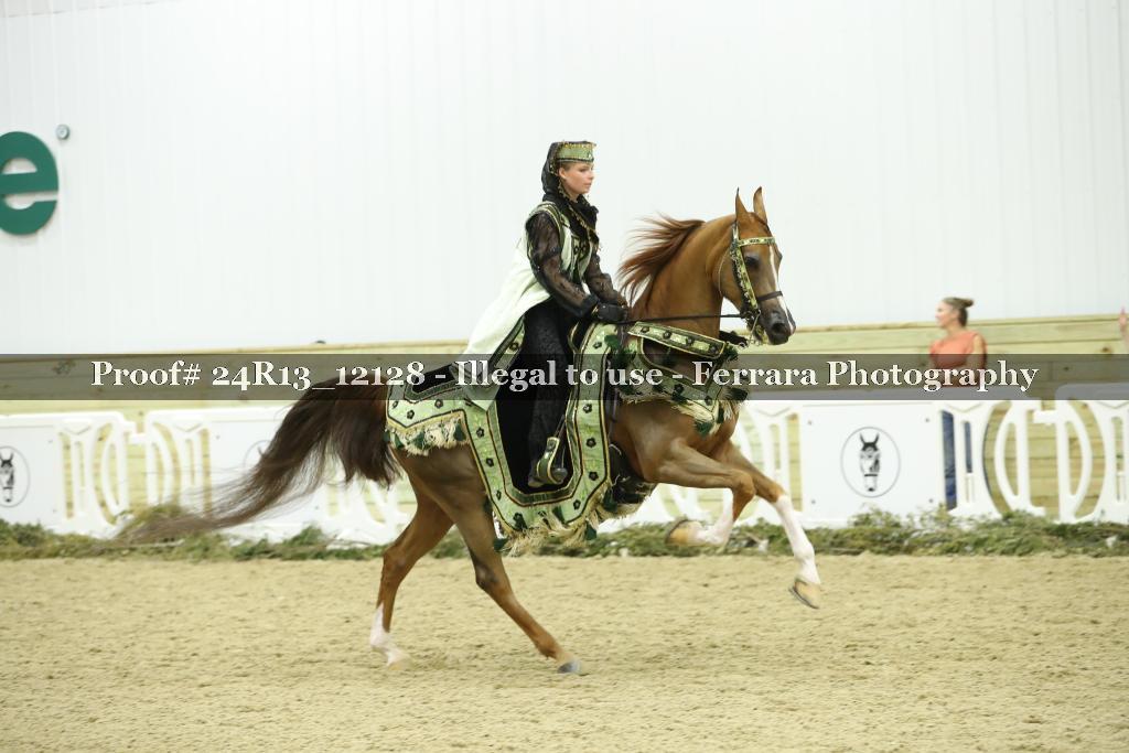 Proof 24R13_12128