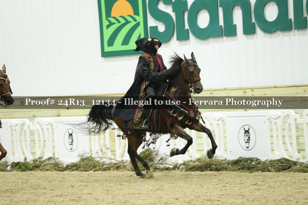 Proof 24R13_12134