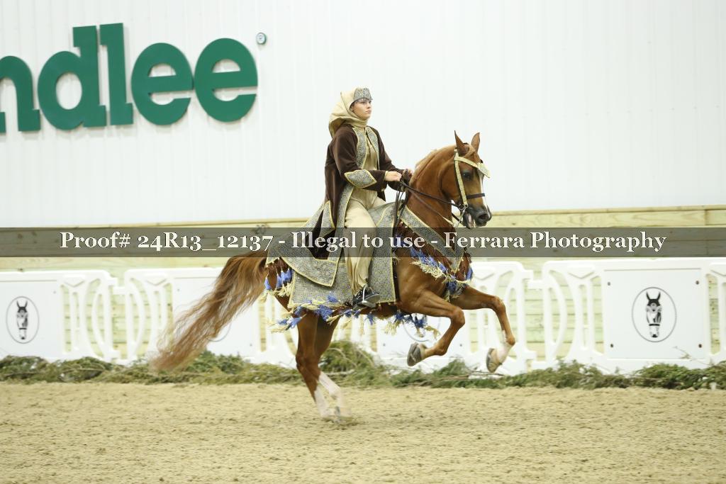 Proof 24R13_12137