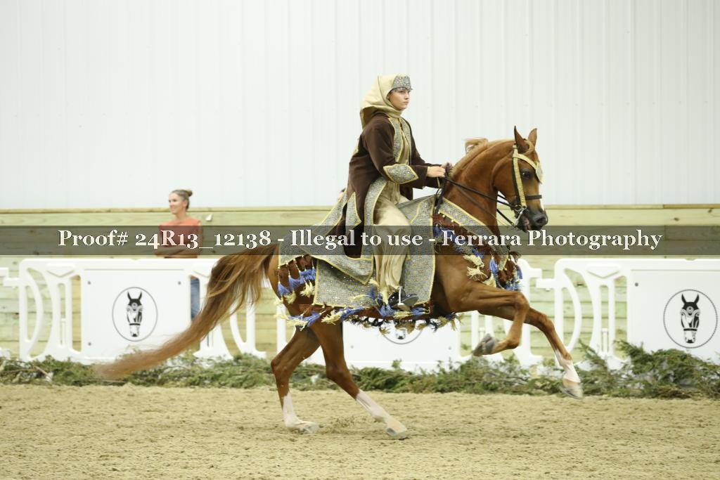 Proof 24R13_12138