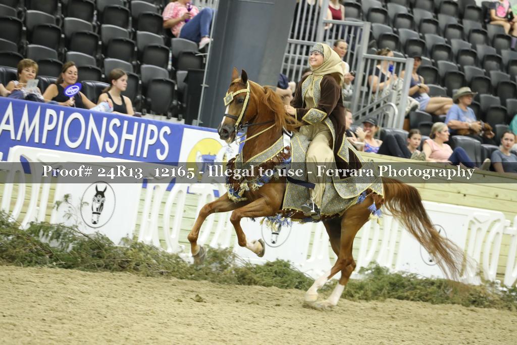 Proof 24R13_12165