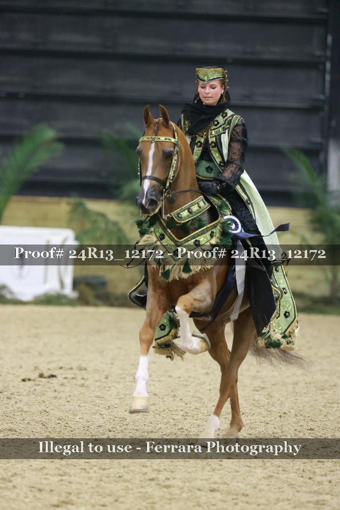 Proof 24R13_12172