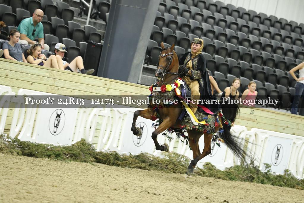 Proof 24R13_12173